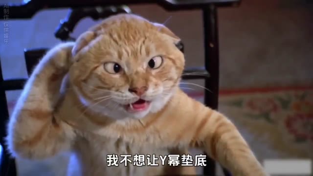 喵了个咪一二合集+少妇白洁番外海报