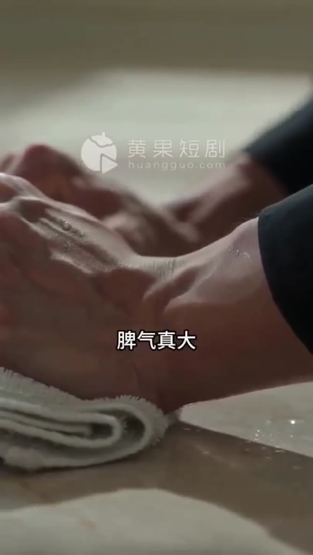顶级私厨合集海报